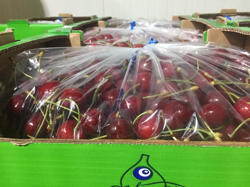 Borca dayanamadı Türk gıda markası iflas etti: Kiraz, incir ve nar ürünlerini dış pazara sunuyordu - Resim: 5