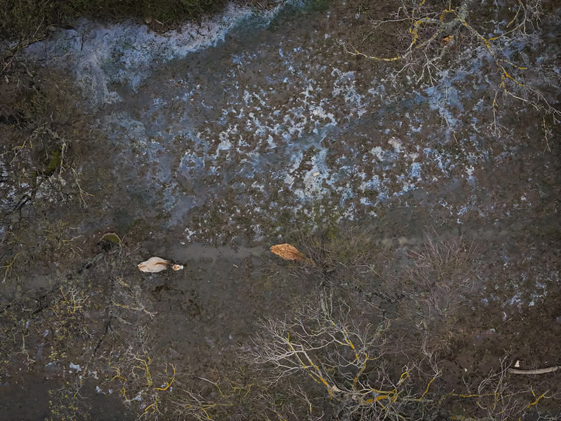 Kuraklık sonrası mucize: Karacabey longozu yeniden canlandı... 300'e yakın kuş türüne ev sahipliği yapıyor - Resim : 2