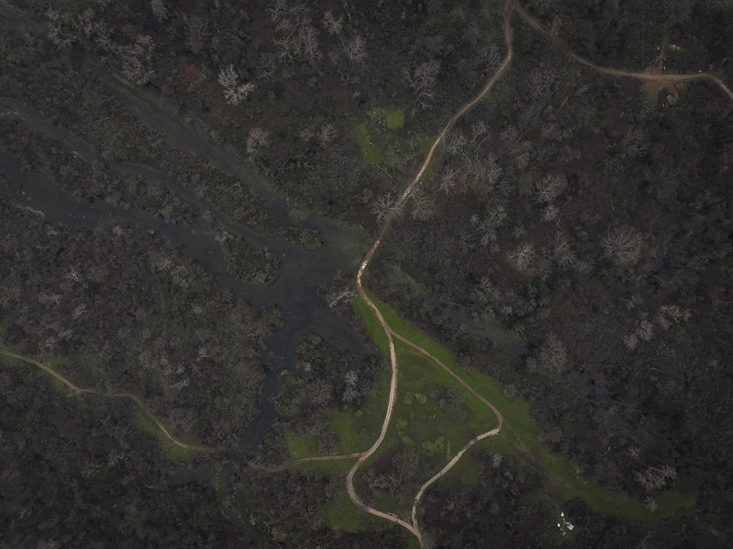 Kuraklık sonrası mucize: Karacabey longozu yeniden canlandı... 300'e yakın kuş türüne ev sahipliği yapıyor - Resim : 8