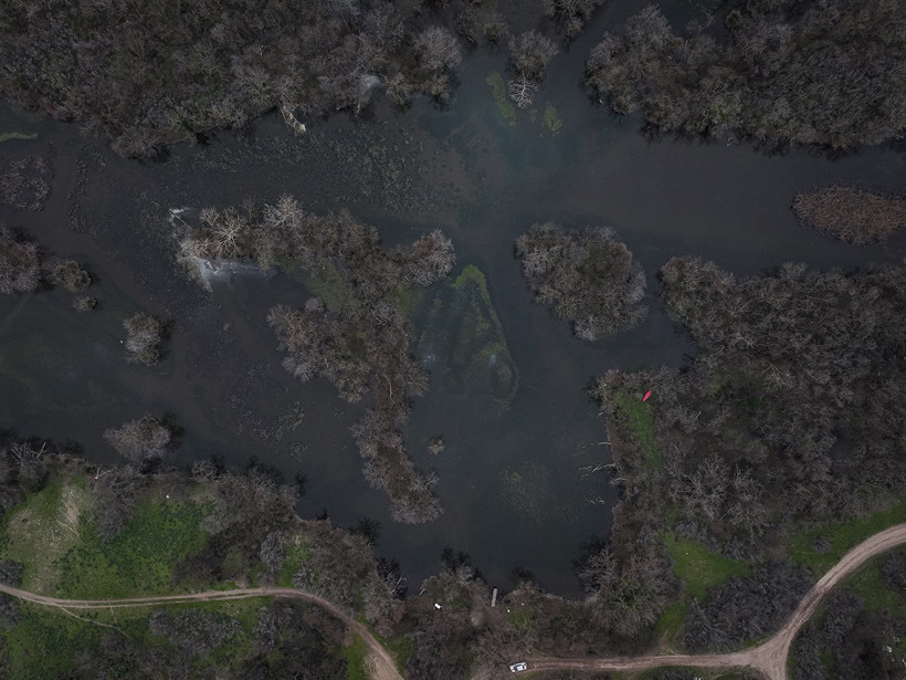 Kuraklık sonrası mucize: Karacabey longozu yeniden canlandı... 300'e yakın kuş türüne ev sahipliği yapıyor - Resim : 1