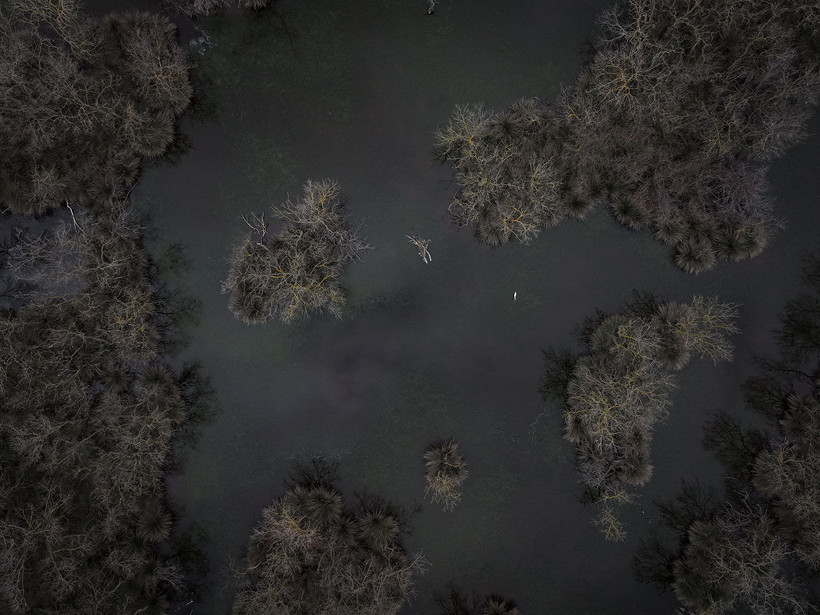 Kuraklık sonrası mucize: Karacabey longozu yeniden canlandı... 300'e yakın kuş türüne ev sahipliği yapıyor - Resim : 5
