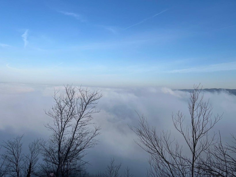 Sis bulutları Bolu Dağı&rsquo;nı esir aldı: İstanbul-Ankara arası trafik g&ouml;r&uuml;ş mesafesi d&uuml;şt&uuml; - Resim : 2