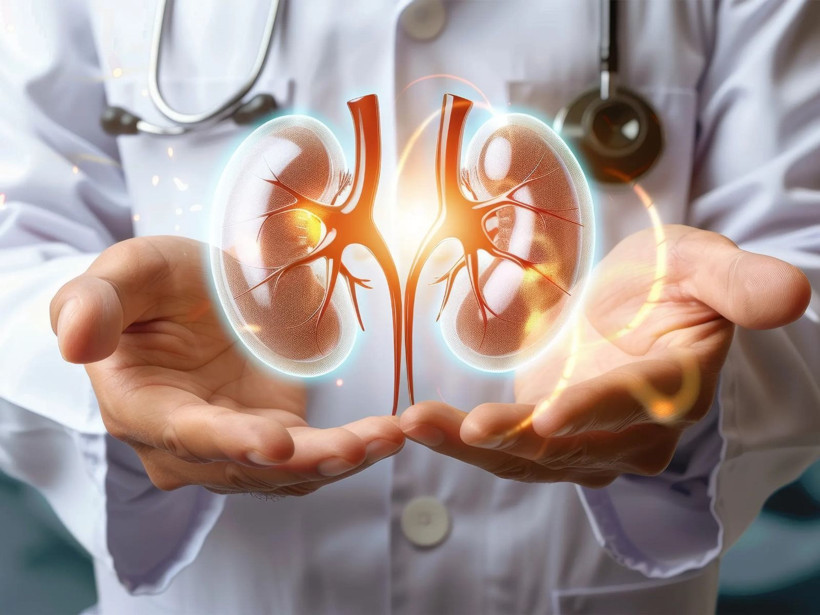 Böbrek sağlığı için 8 altın kural: Uzmanlar tek tek sıraladı - Resim: 3