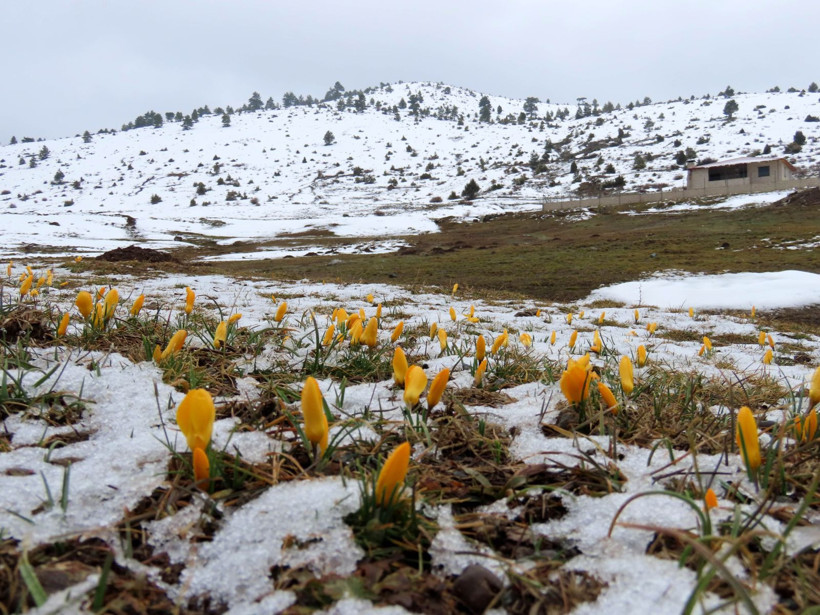 Sadece 14 gün görebileceksiniz: Kaçırmayın ama çiğnemeyin - Resim: 2