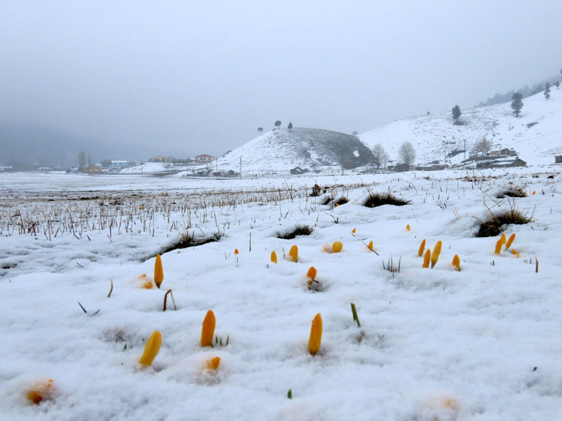 Sadece 14 gün görebileceksiniz: Kaçırmayın ama çiğnemeyin - Resim: 3