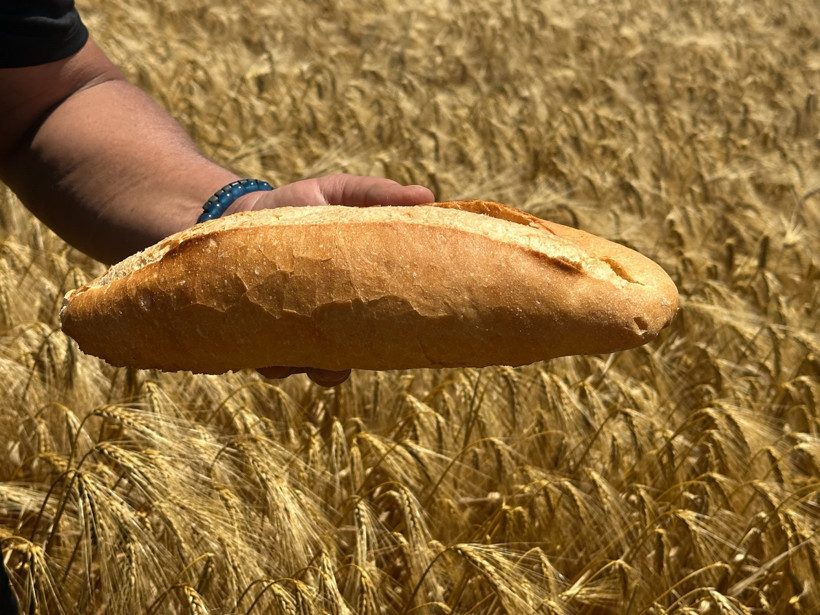Tarladan fırına fiyat uçurumu: Buğday 5, ekmek 20 TL - Resim : 3