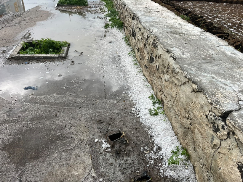Kars’ta dolu kabusu: Araçlar hasar gördü, çiftçi umudunu kaybetti - Resim : 3