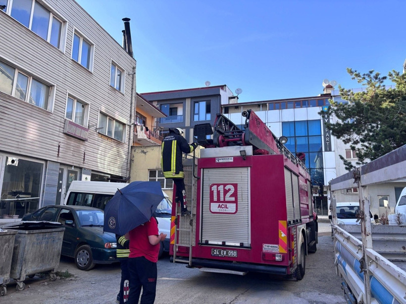 Sokakta karga savaşı: Vatandaşlar ve kediler hedef oldu - Resim : 1
