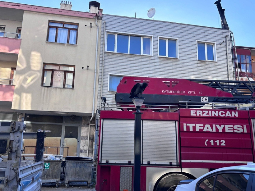 Sokakta karga savaşı: Vatandaşlar ve kediler hedef oldu - Resim : 2