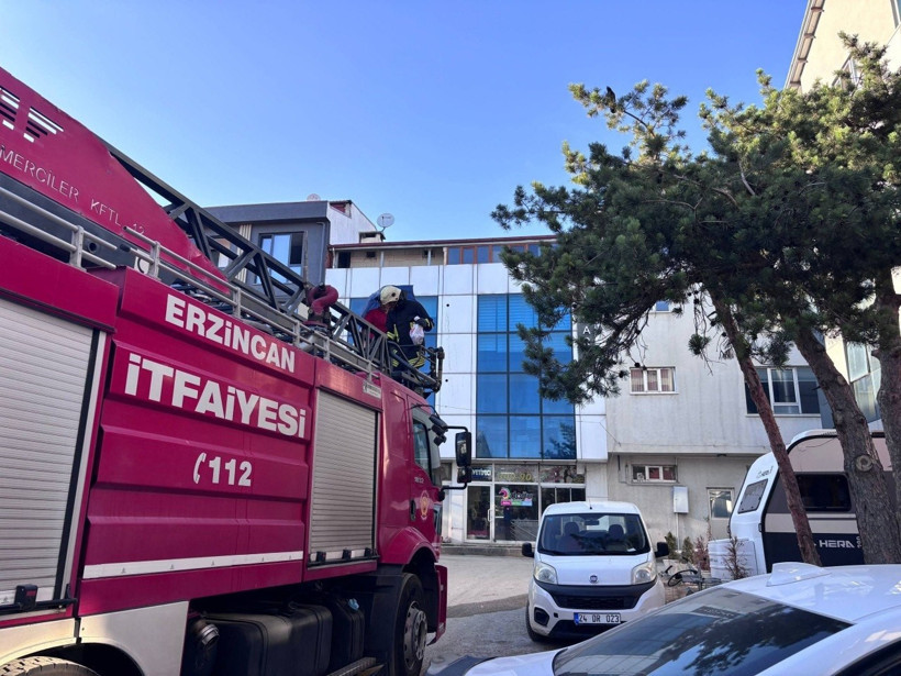 Sokakta karga savaşı: Vatandaşlar ve kediler hedef oldu - Resim : 3