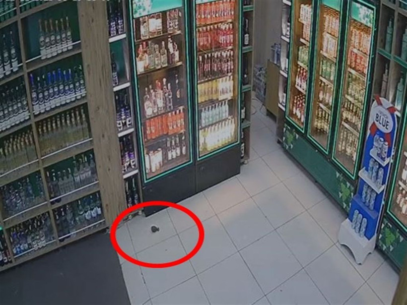 Savcı el bombalı saldırının şifrelerini tek tek çözdü: Diyarbakır'da akılalmaz vahşet - Resim: 8