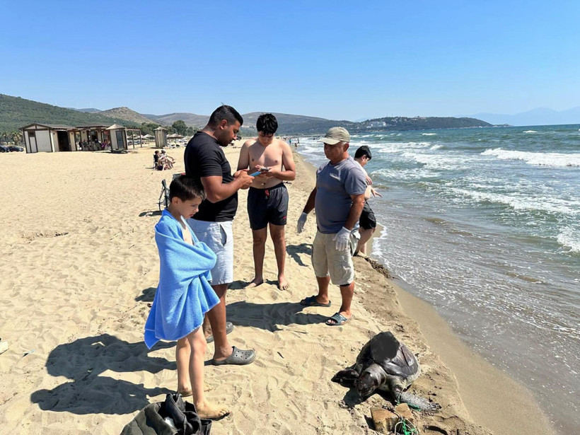 İzmir'de vahşet: Yüzgecine parke taşı bağlanan deniz kaplumbağası ölü bulundu - Resim : 3