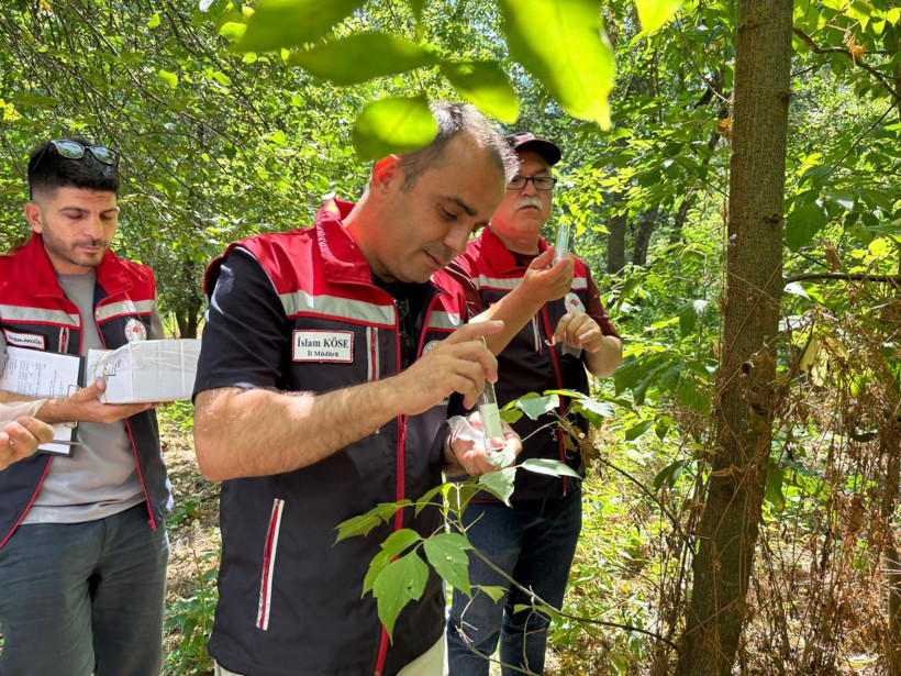 Tarımın geleceği onlara emanet: Samuray arıcığı, kahverengi kokarcaya karşı cephede - Resim: 1