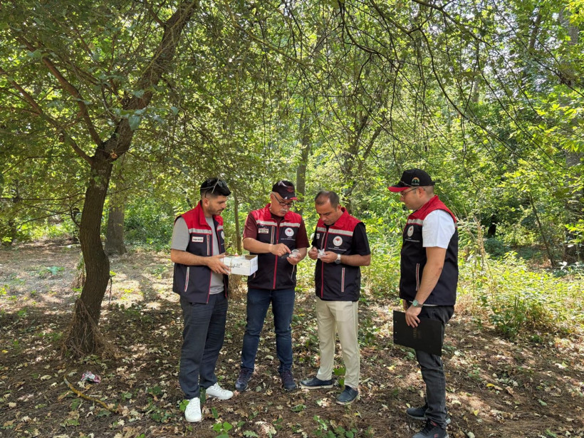 Tarımın geleceği onlara emanet: Samuray arıcığı, kahverengi kokarcaya karşı cephede - Resim: 5
