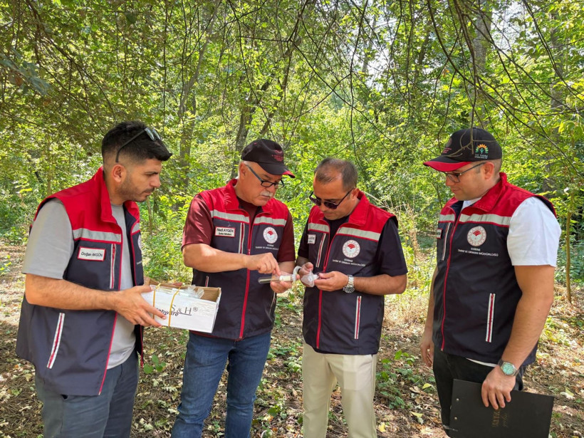 Tarımın geleceği onlara emanet: Samuray arıcığı, kahverengi kokarcaya karşı cephede - Resim: 2