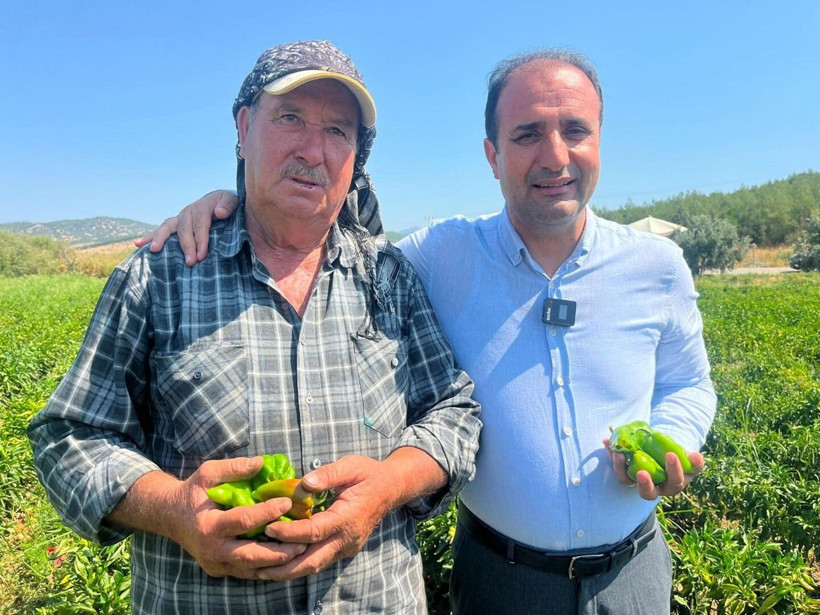 İtalyanlar peşine düştü… Sadece o toprakta yetişiyor: 500 dönümlük alanda 200 üretici hasat yapıyor - Resim: 10