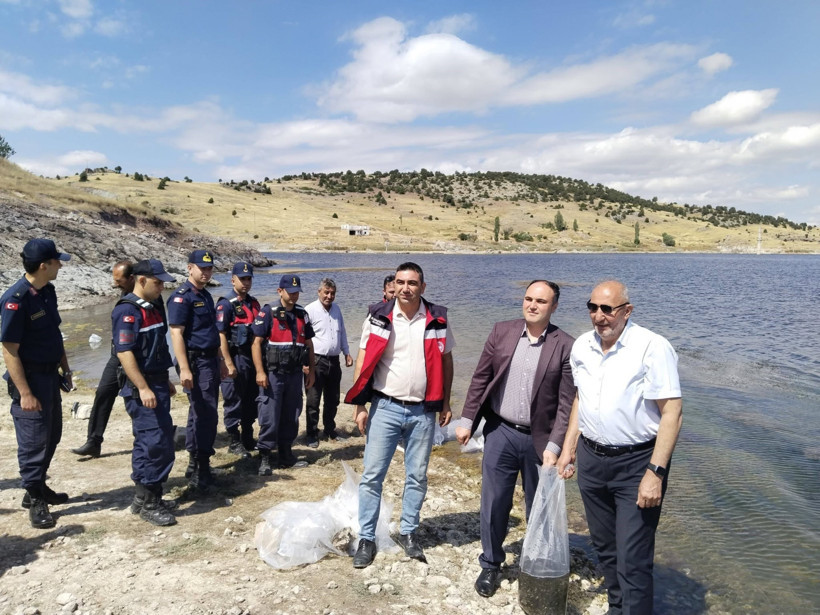 140 bin sazan yavrusu göletle buluştu - Resim : 1