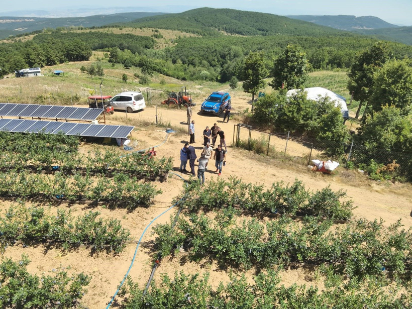 Devlet desteğiyle verimsiz arazide kurdu... İlk hasatta 6 ton bekliyor - Resim: 3