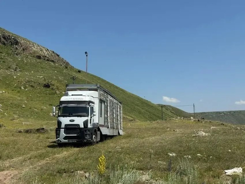Dünyada nadir, Türkiye'de ilk: Yerli sistem arıcılıkta yeni dönemi başlattı - Resim: 5