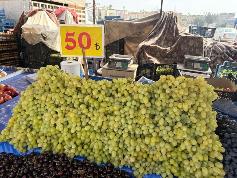 Tarlada hasat başladı: Kilosu 50 liradan 10 liraya düştü, üretici dertli - Resim: 4