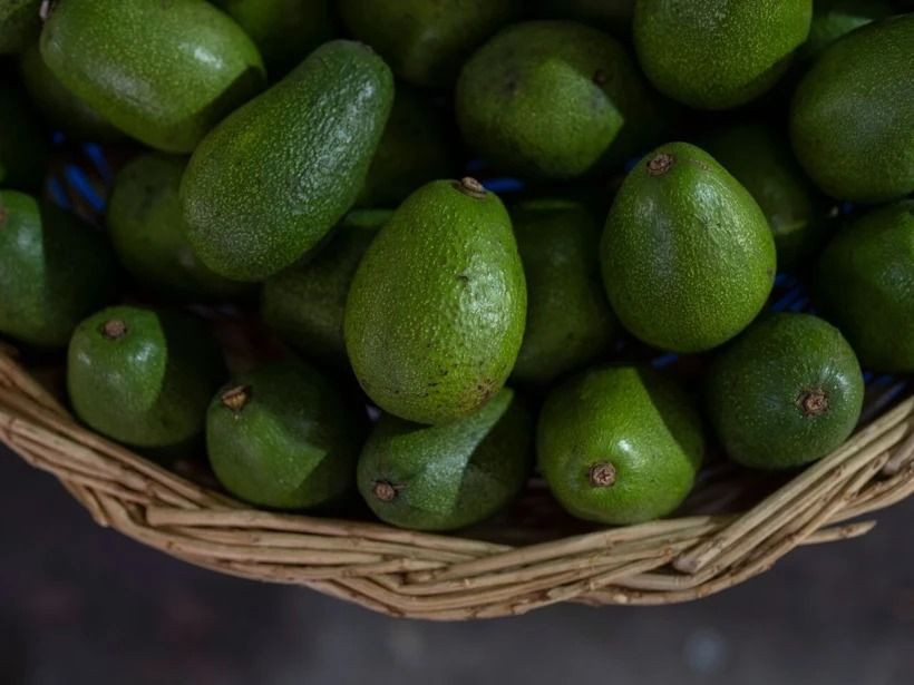 Yeşil altın peynir ekmek gibi satılıyor: Dönüm başı 400 bin TL kazandırıyor - Resim: 2