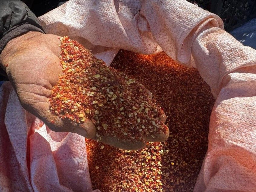Kilosunu 400 TL'den satıyor: 5 dönümlük bahçede 300 bin lira kazanıyor - Resim: 11