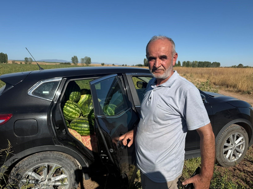Markette kilosu 15 TL, tarlada bedava: İsteyen gelip dilediği kadar topluyor - Resim: 2