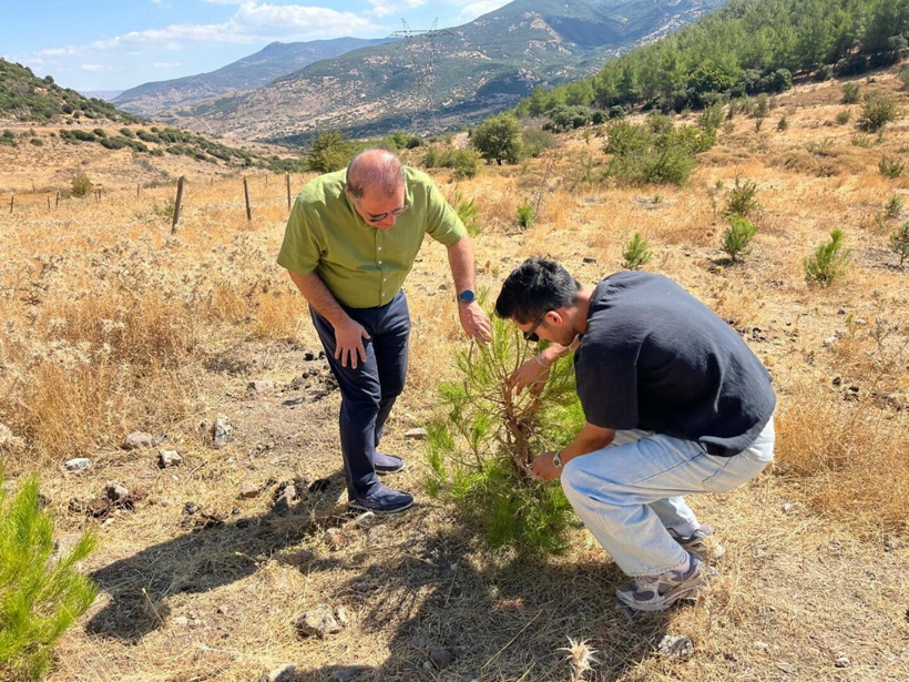 'Baklava' ve 'Hilal' kalkanı: Doğanın kodu çözüldü: Su bitti derken umut doğdu - Resim: 2