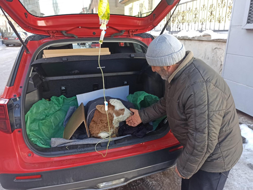 Arabanın bagajında serumla m&uuml;dahale etti: Yemeden i&ccedil;meden kesildi - Resim : 3