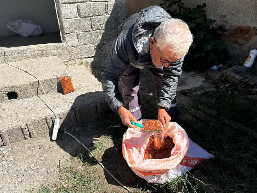 Kilosunu 400 TL'den satıyor: 5 dönümlük bahçede 300 bin lira kazanıyor - Resim: 6