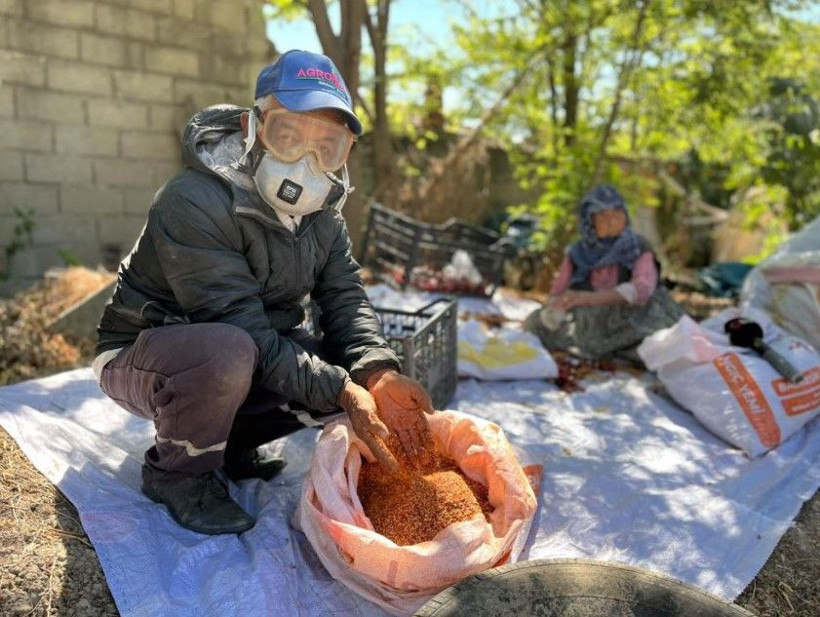 Kilosunu 400 TL'den satıyor: 5 dönümlük bahçede 300 bin lira kazanıyor - Resim: 12