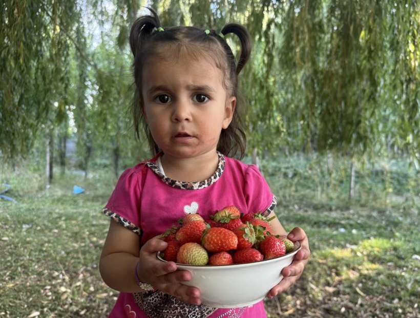 “Burada yetişmez” denildi: Şimdi 15 ton ürün bekleniyor - Resim: 3