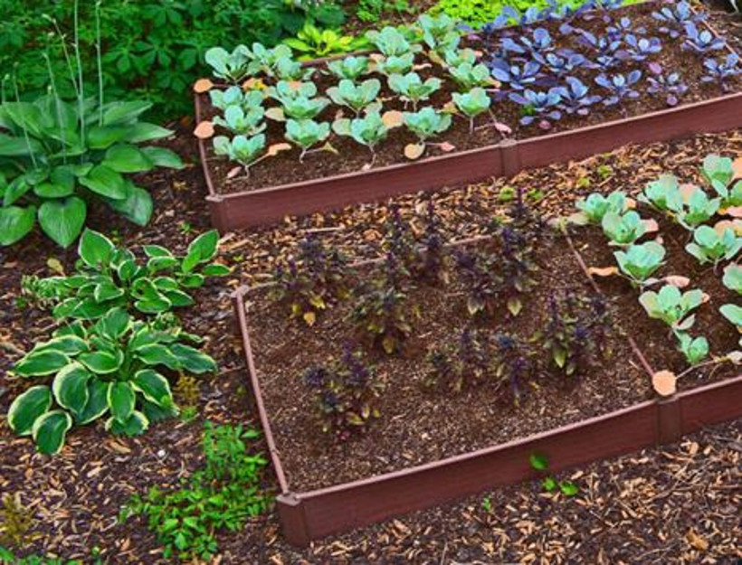 Hobi bahçelerine yeni kısıtlama: 100 bin TL ceza - Resim : 2