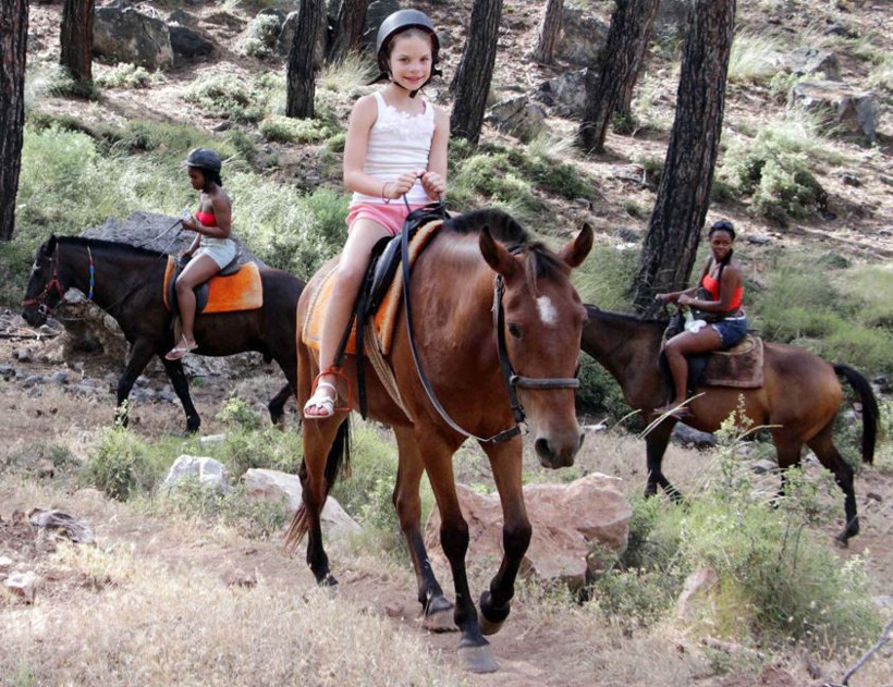 Tek tırnaklı hayvanların nesli t&uuml;keniyor: 20 yılda y&uuml;zde 81 kayıp - Resim : 1