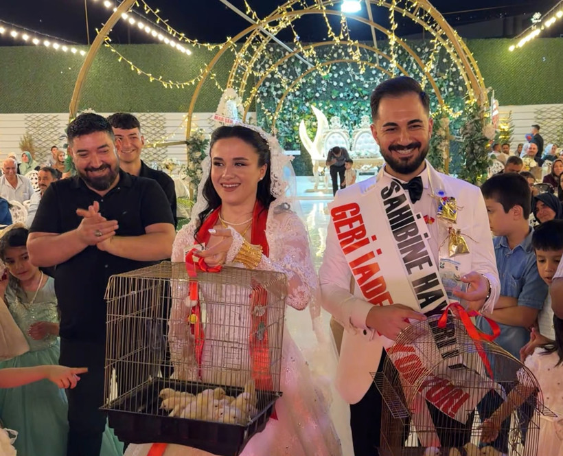 Damada sıra dışı hediye: Rengi sarı ama altın değil - Resim : 2