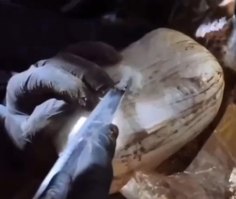 Ağrı’da zehir operasyonu: 21 kg skunk ve 8 kg metamfetamin ele geçirildi - Resim : 1