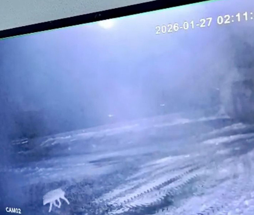 “Kurt sisli havayı sever” gerçek oldu: Ağılda 200 hayvanı katletti - Resim : 2