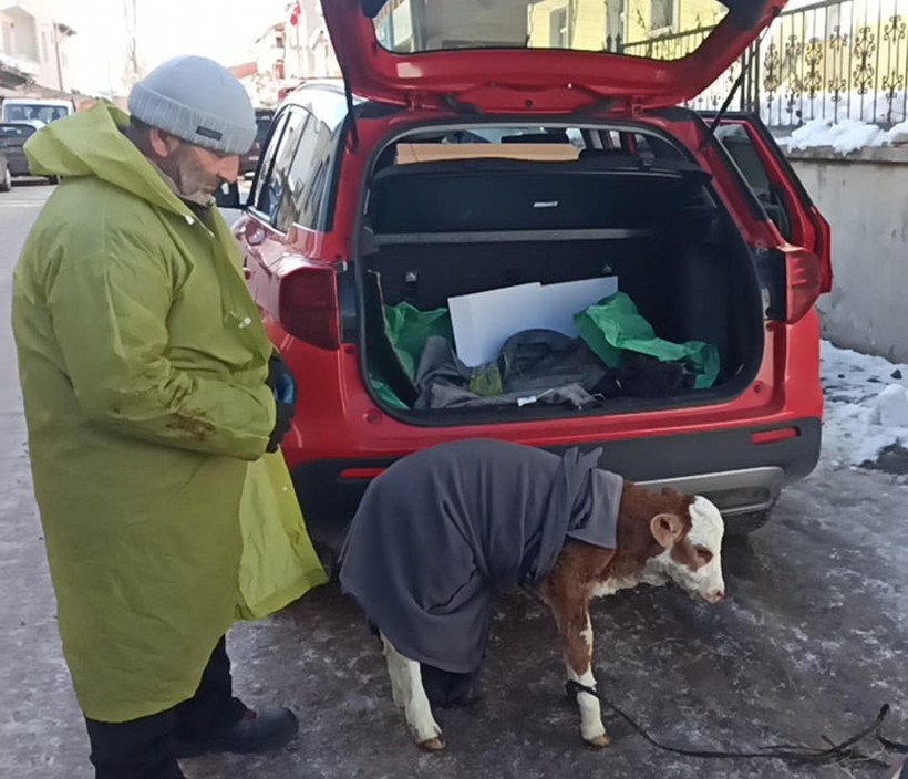 Arabanın bagajında serumla m&uuml;dahale etti: Yemeden i&ccedil;meden kesildi - Resim : 5