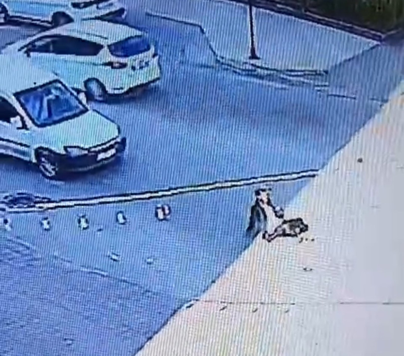 Sürücünün şaşkınlığını fırsat bilip otomobili çaldı - Resim : 4