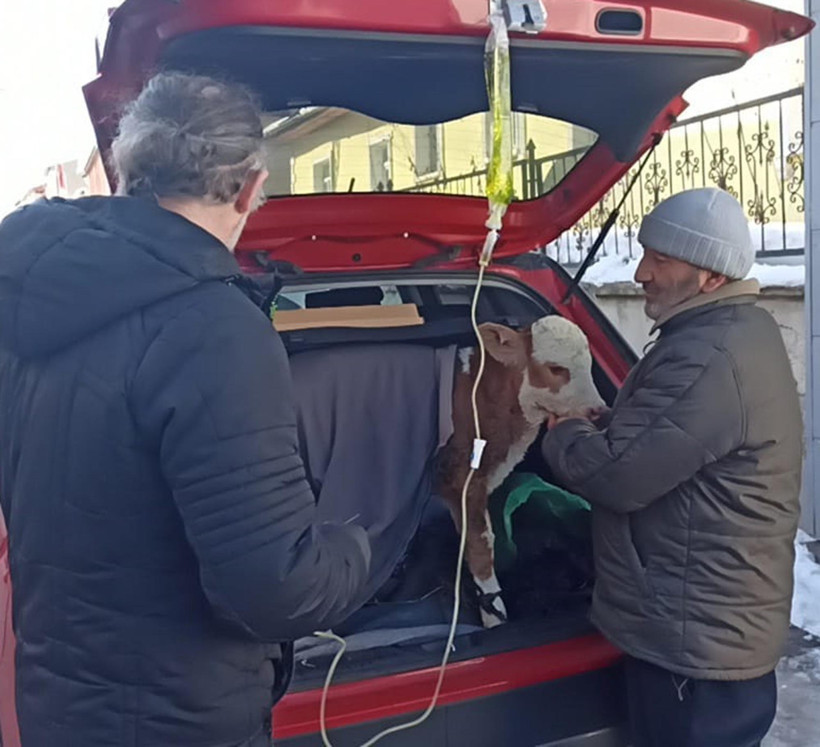 Arabanın bagajında serumla m&uuml;dahale etti: Yemeden i&ccedil;meden kesildi - Resim : 2