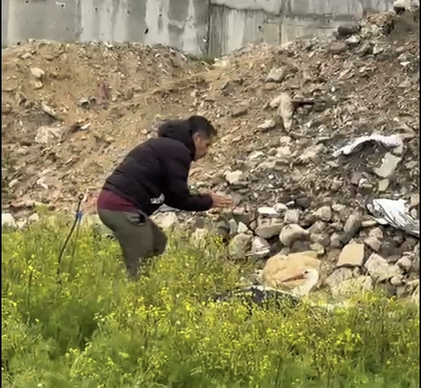 Göç yolunda acı son: Avcıların hedefi oldu - Resim : 1