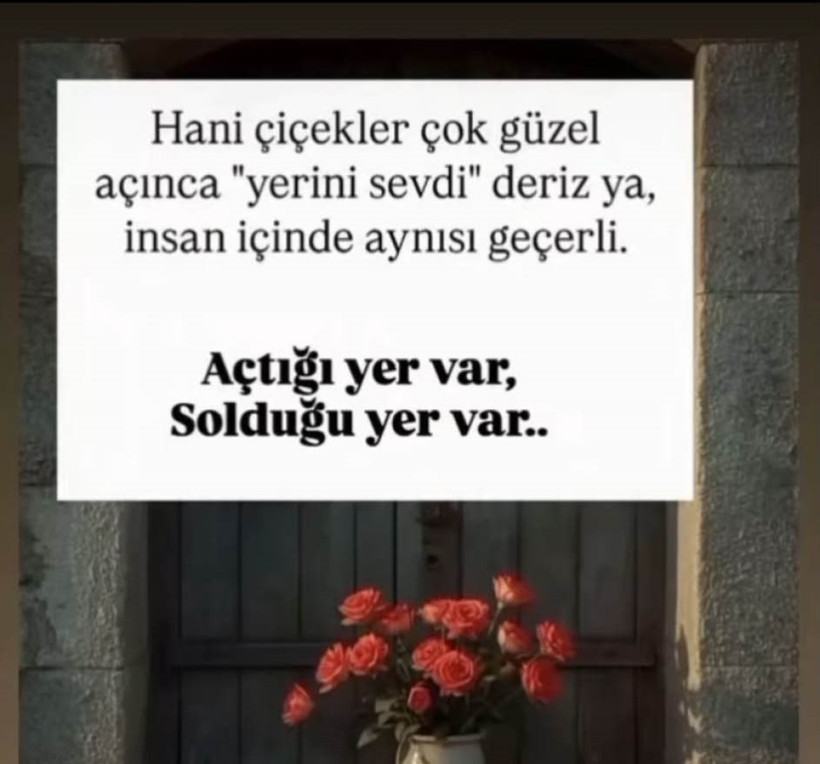 Hatay'ı yasa boğan cinayette yürek yakan detay: Emine’nin "Son sitemi bu oldu" - Resim : 1