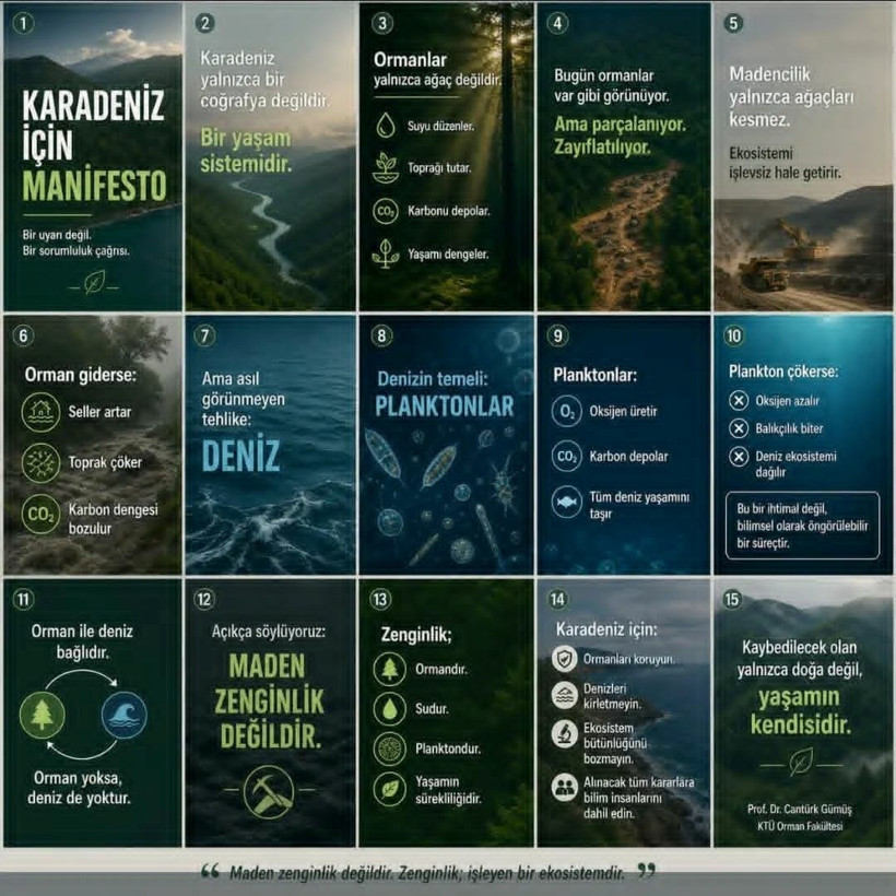 Karadeniz i&ccedil;in manifesto - Resim : 2