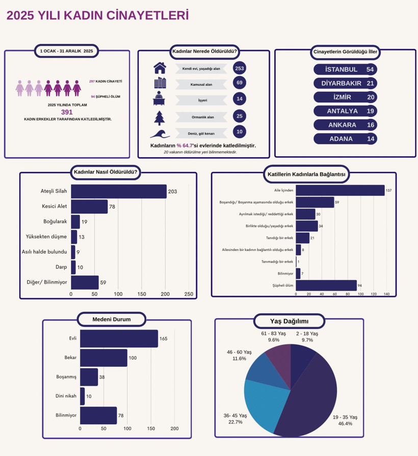 Kadınlar evlerinde bile güvende değil: 2025 yılında günde ortalama bir kadın katledildi - Resim : 1