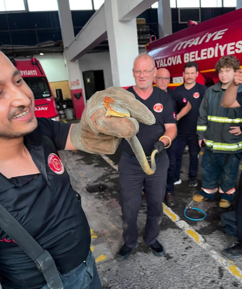 Denizin ortasında korku dolu anlar: Feribotta davet misafir - Resim : 1