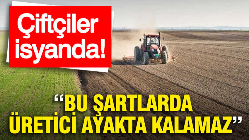 Çiftçiler isyanda: Bu şartlarda üretici ayakta kalamaz