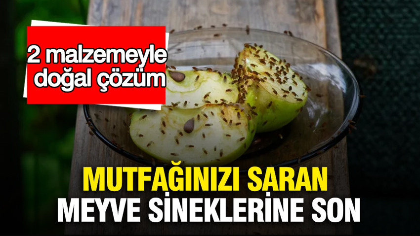 Mutfağınızı saran meyve sineklerine son: 2 malzemeyle doğal çözüm