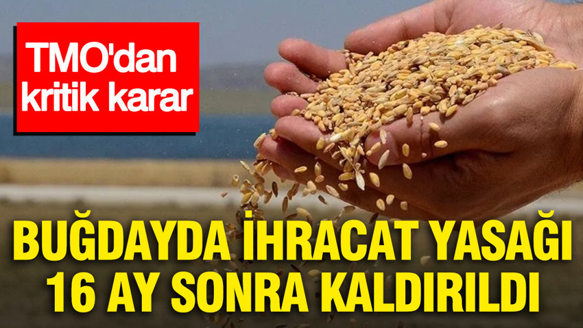 TMO'dan kritik karar: Buğdayda ihracat yasağı 16 ay sonra kaldırıldı