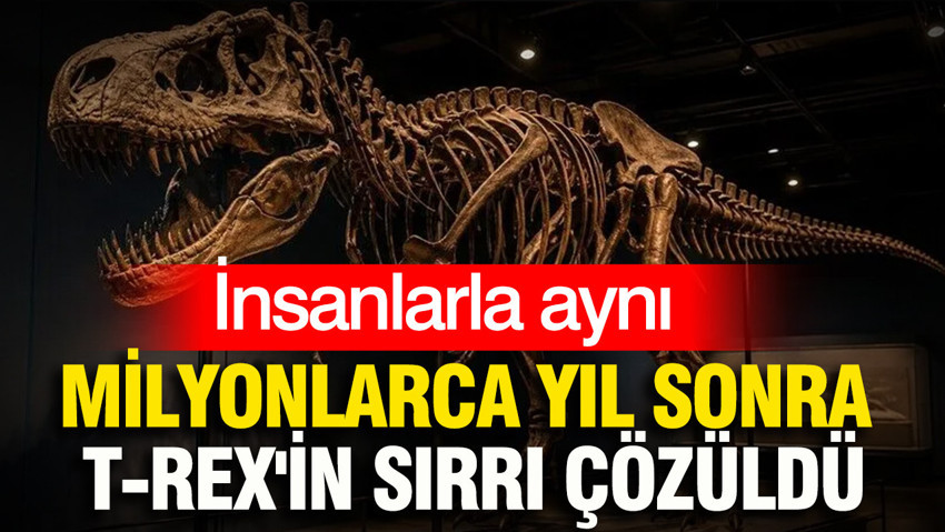 Milyonlarca yıl sonra T-rex