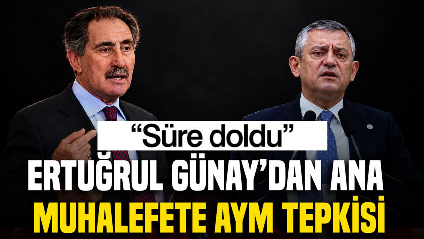 Eski bakan Ertuğrul Günay'dan ana muhalefete tepki: AYM'ye götürmedi